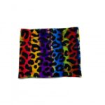 rainbow leopard print